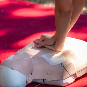 cpr training on a doll